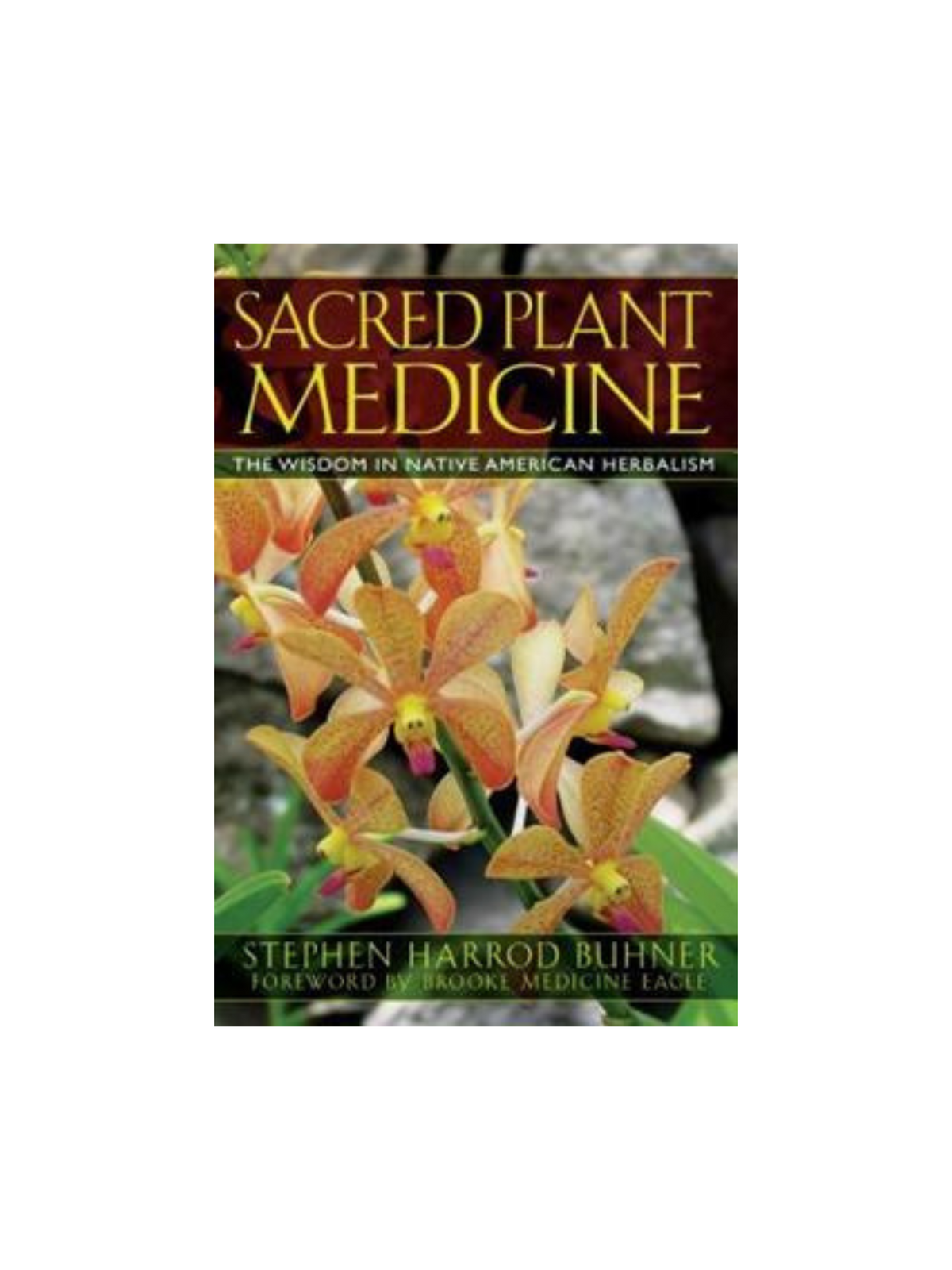 Sacred Plant Medicine: The Wisdom in Native American Herbalism Book