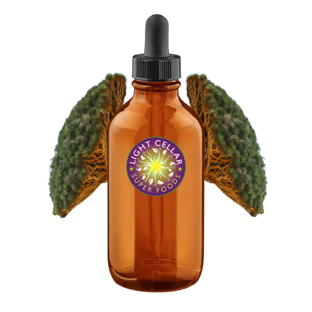 Dragon's Blood Tincture