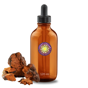 Chaga Dual Extract tincture