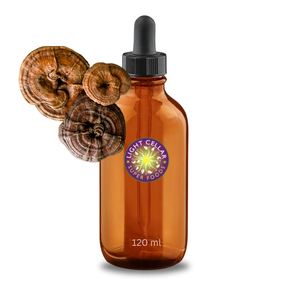 Reishi Tincture