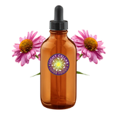 Echinacea Tincture