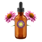 Echinacea Tincture