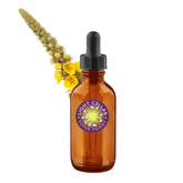 Fresh Mullein Tincture