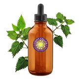 Fresh Nettle Tincture