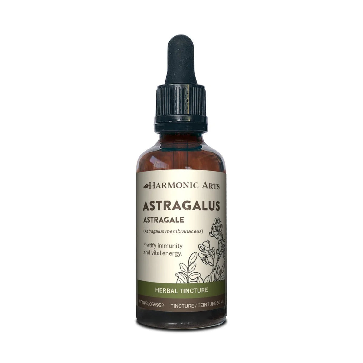 Harmonic Arts Astragalus Tincture