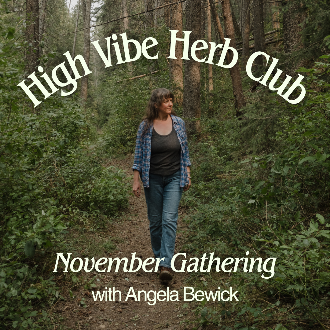 High Vibe Herb Club — November Gathering