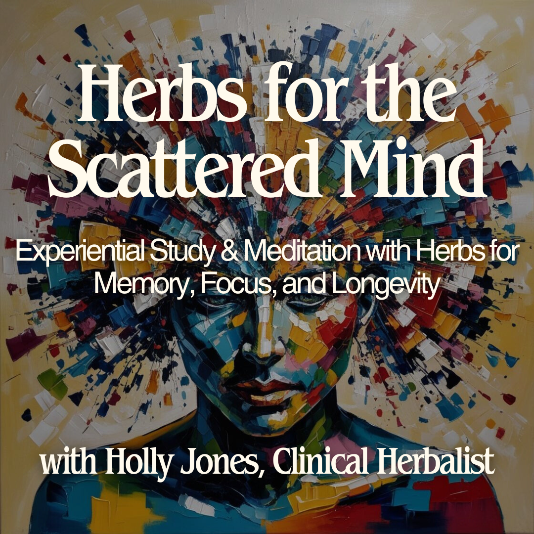 Herbs for the Scattered Mind: Memory, Focus, and Longevity - May 10