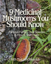 9 Medicinal Mushrooms You Should Know - Autumn 2026