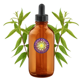 Lemon Verbena Tincture