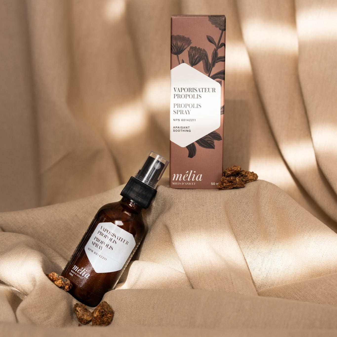 Miels D'Anicet Propolis Spray