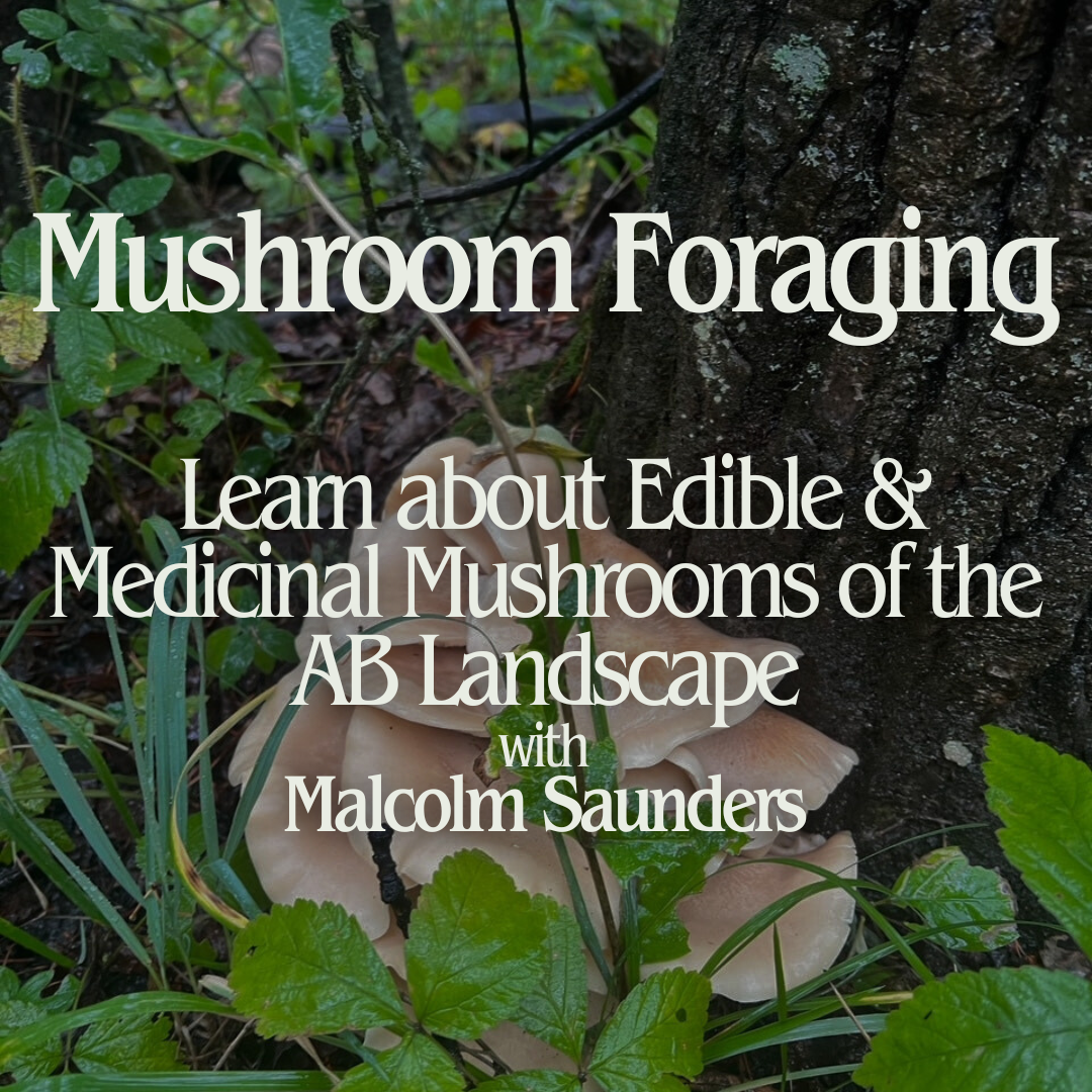 Mushroom Foraging: Learn about Edible & Medicinal Mushrooms of the AB Landscape