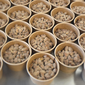 Natto