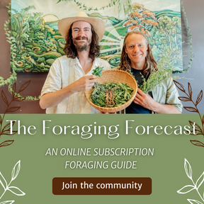 The Foraging Forecast: Be in the Know about When, Where, What & How to Forage