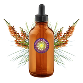 BC Pine Pollen Tincture