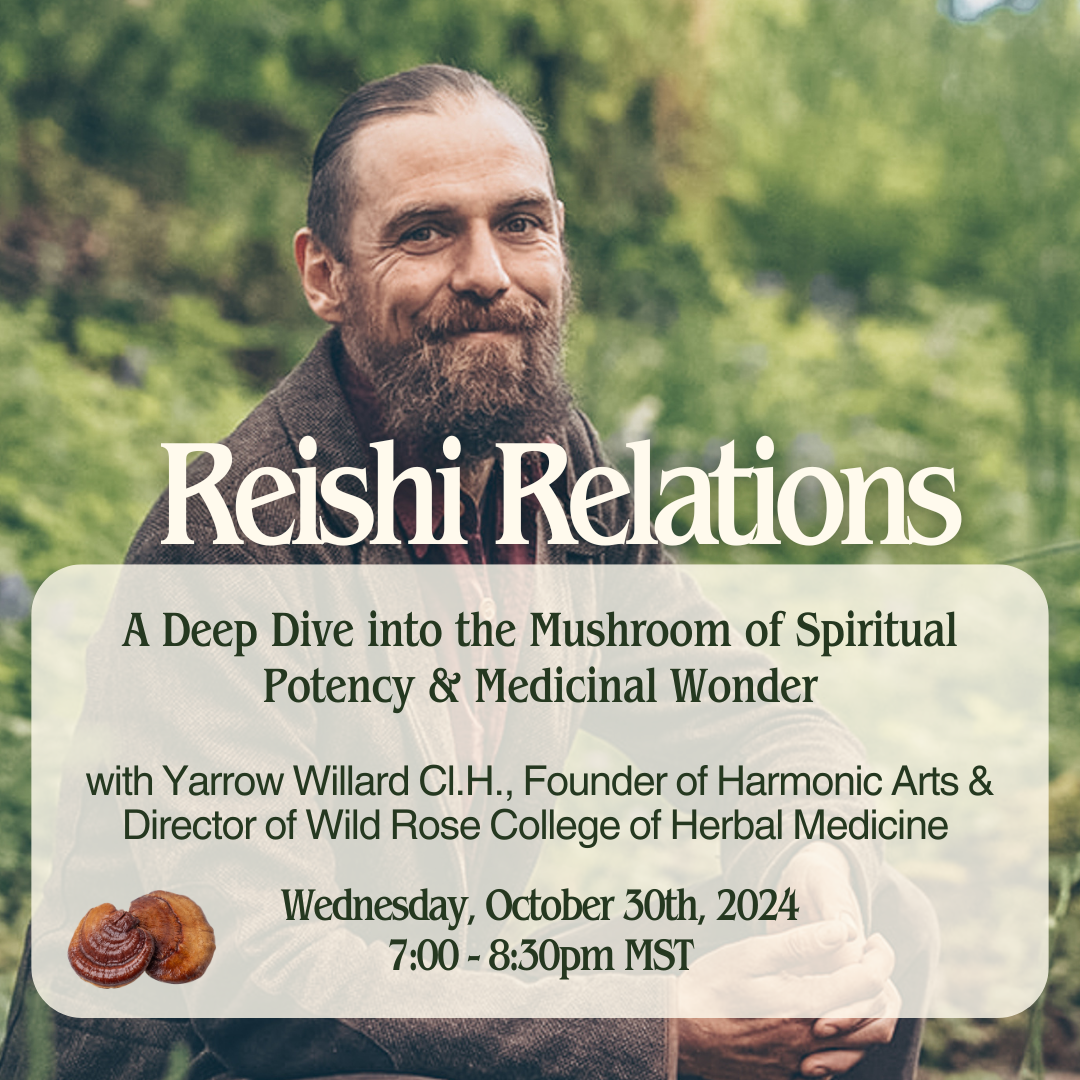 Reishi Relations: A Deep Dive into the Mushroom of Spiritual Potency & Medicinal Wonder - Oct 30