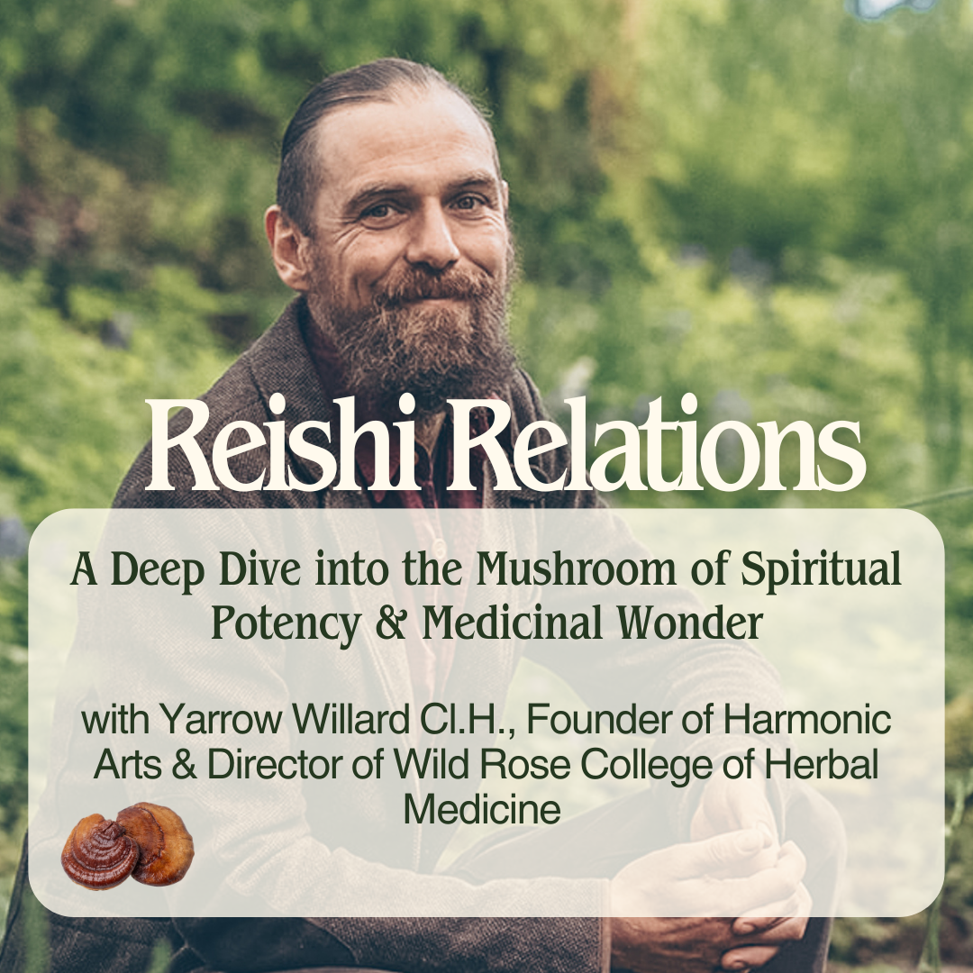 Reishi Relations: A Deep Dive into the Mushroom of Spiritual Potency & Medicinal Wonder - E - course