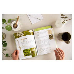 The Boreal Herbal Book (Beverley Gray)