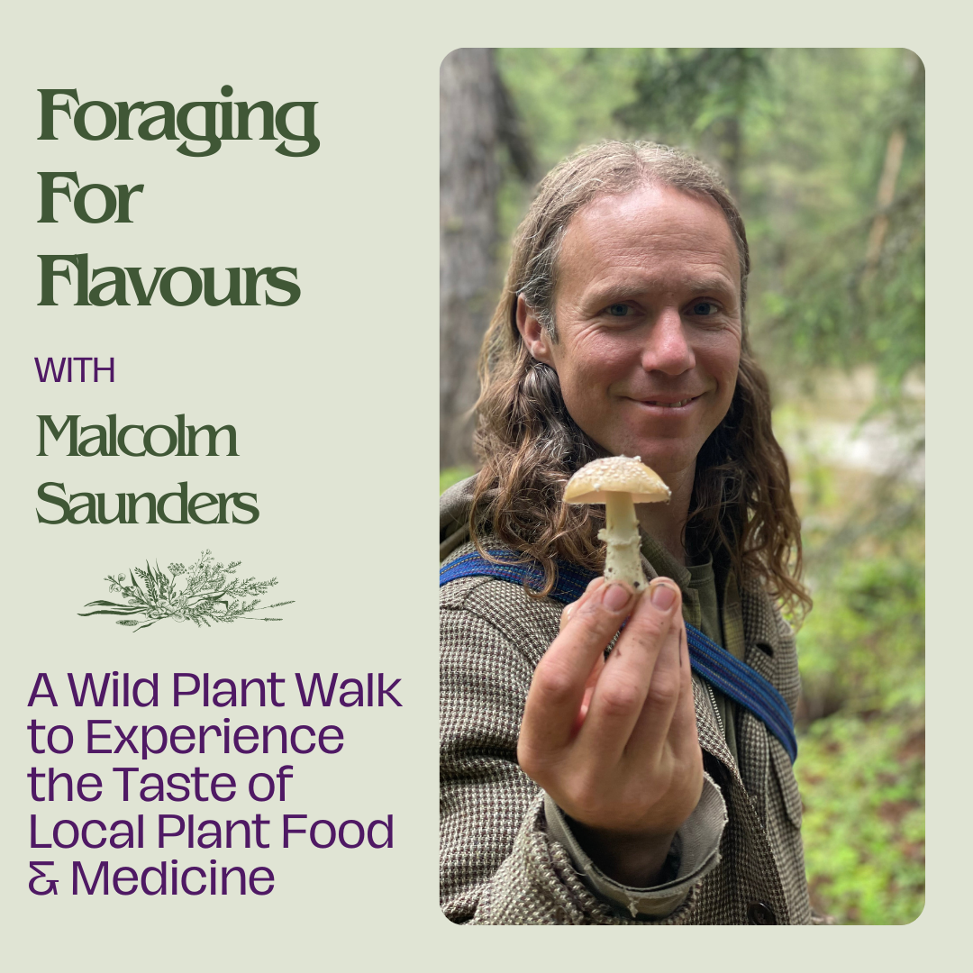 Foraging for Flavours: A Wild Plant Walk, Tasting & Harvesting - Summer 2024
