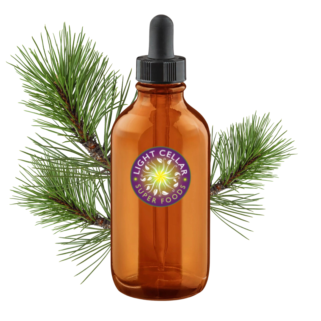 White Pine Needle Tincture