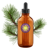 White Pine Needle Tincture