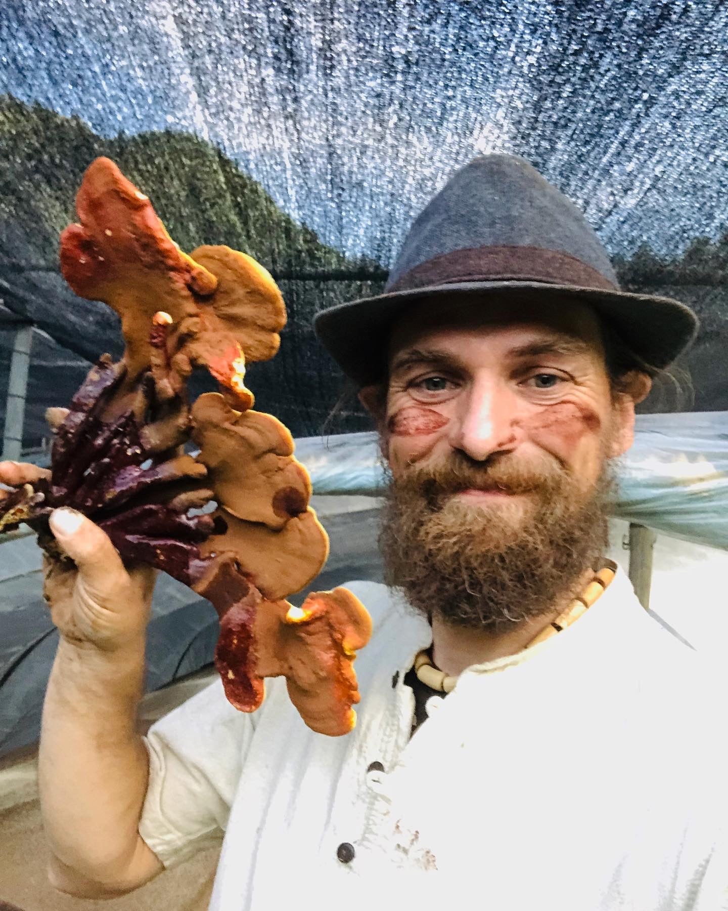 Reishi Relations: A Deep Dive into the Mushroom of Spiritual Potency & Medicinal Wonder - E - course