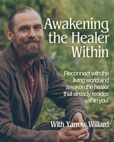 Awakening the Healer Within