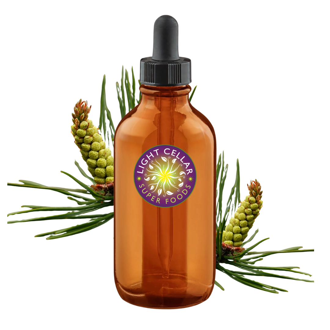 Alberta Pine Pollen Tincture