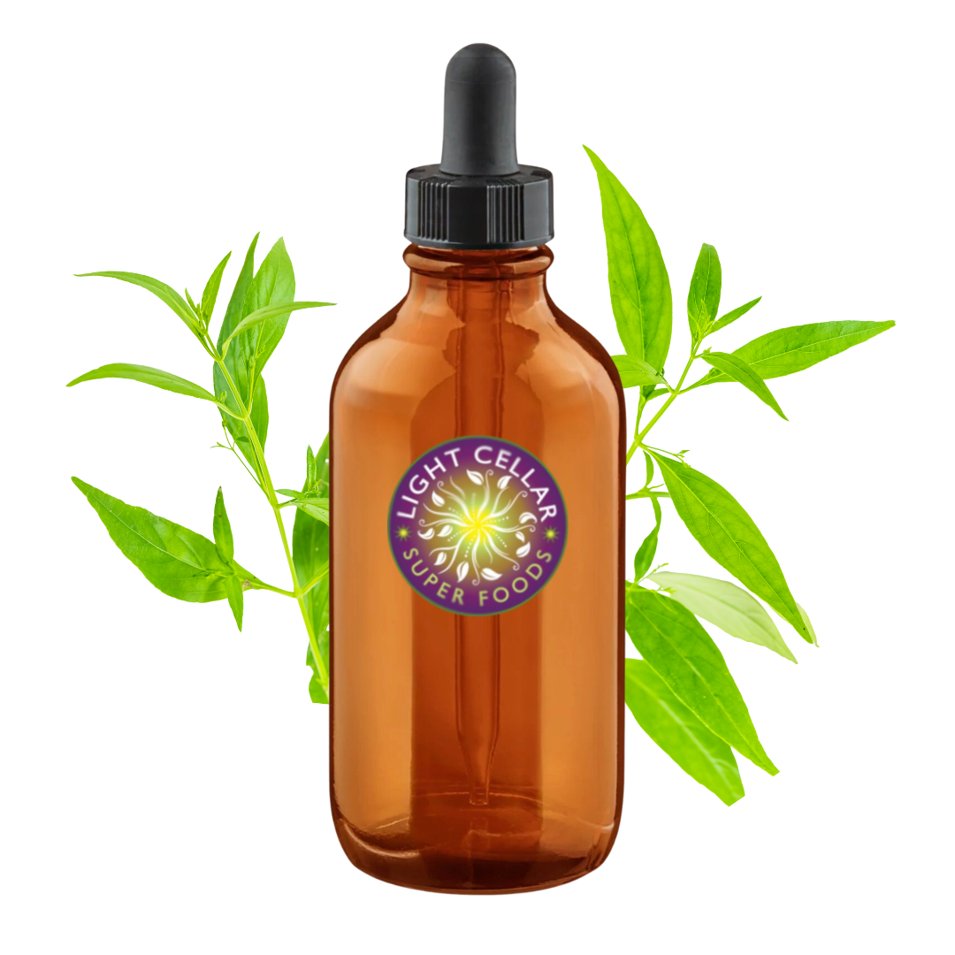 Andrographis Tincture