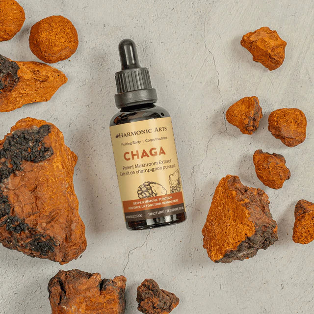 Harmonic Arts Chaga Tincture