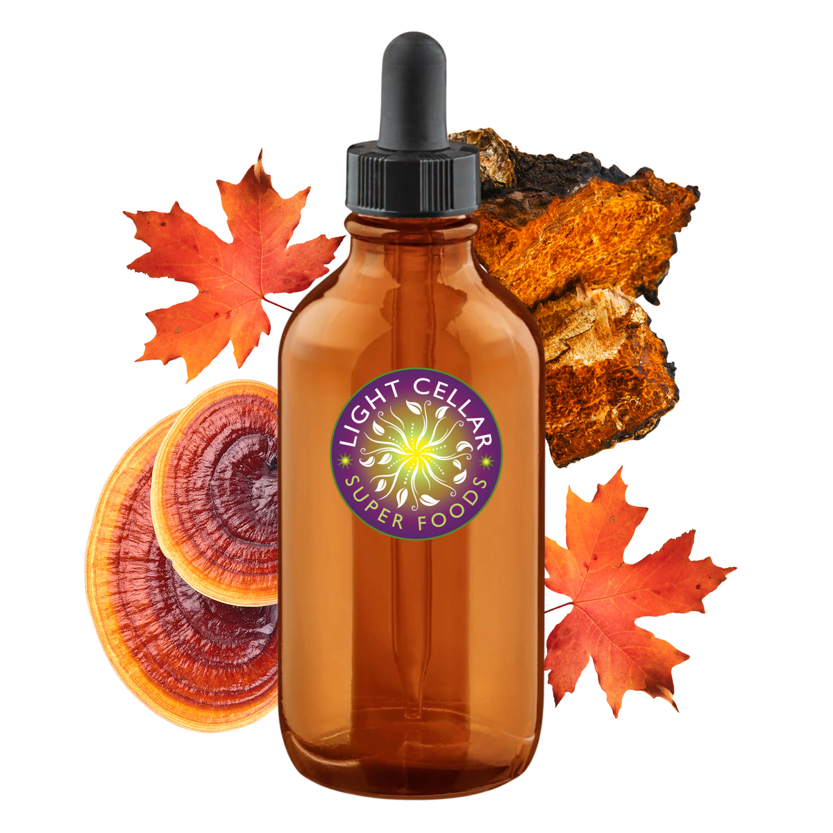 Chaga Reishi Syrup