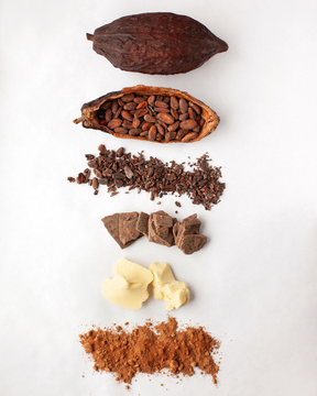 Chocolate Alchemy: An Introduction - Autumn TBA