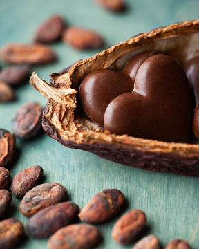 Chocolatiering (Level 2) - Coming Autumn 2026