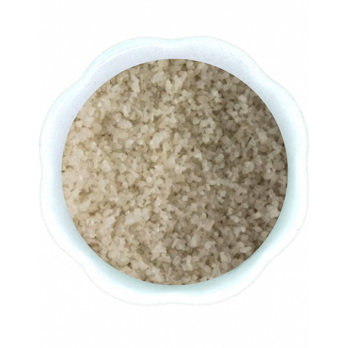 circlewebstorephoto_1_1200x120