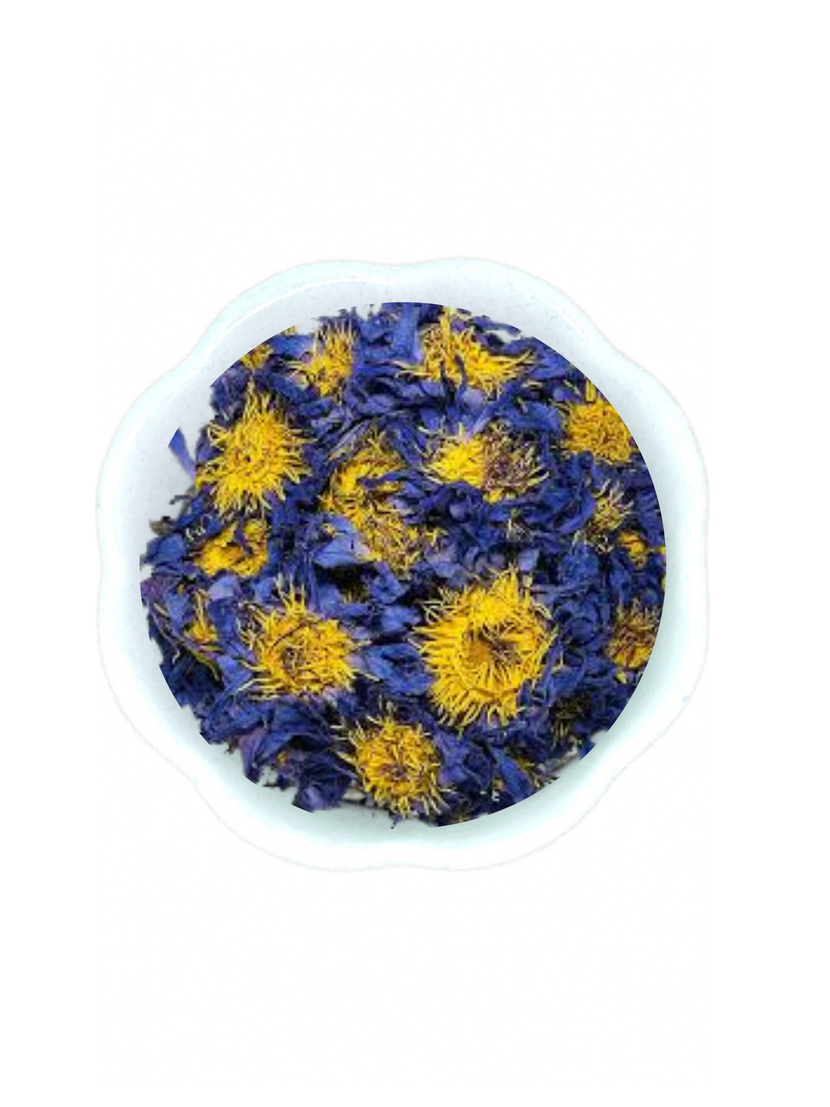 Blue Lotus Flowers