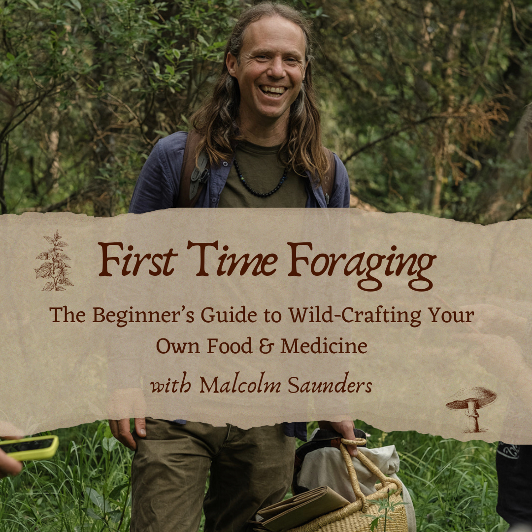 First Time Foraging: Beginners Guide to Wild-Crafting Your Own Food & Medicine - Summer 2024
