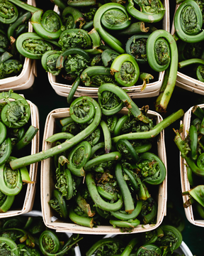 Wild Foods in the Kitchen - July 12