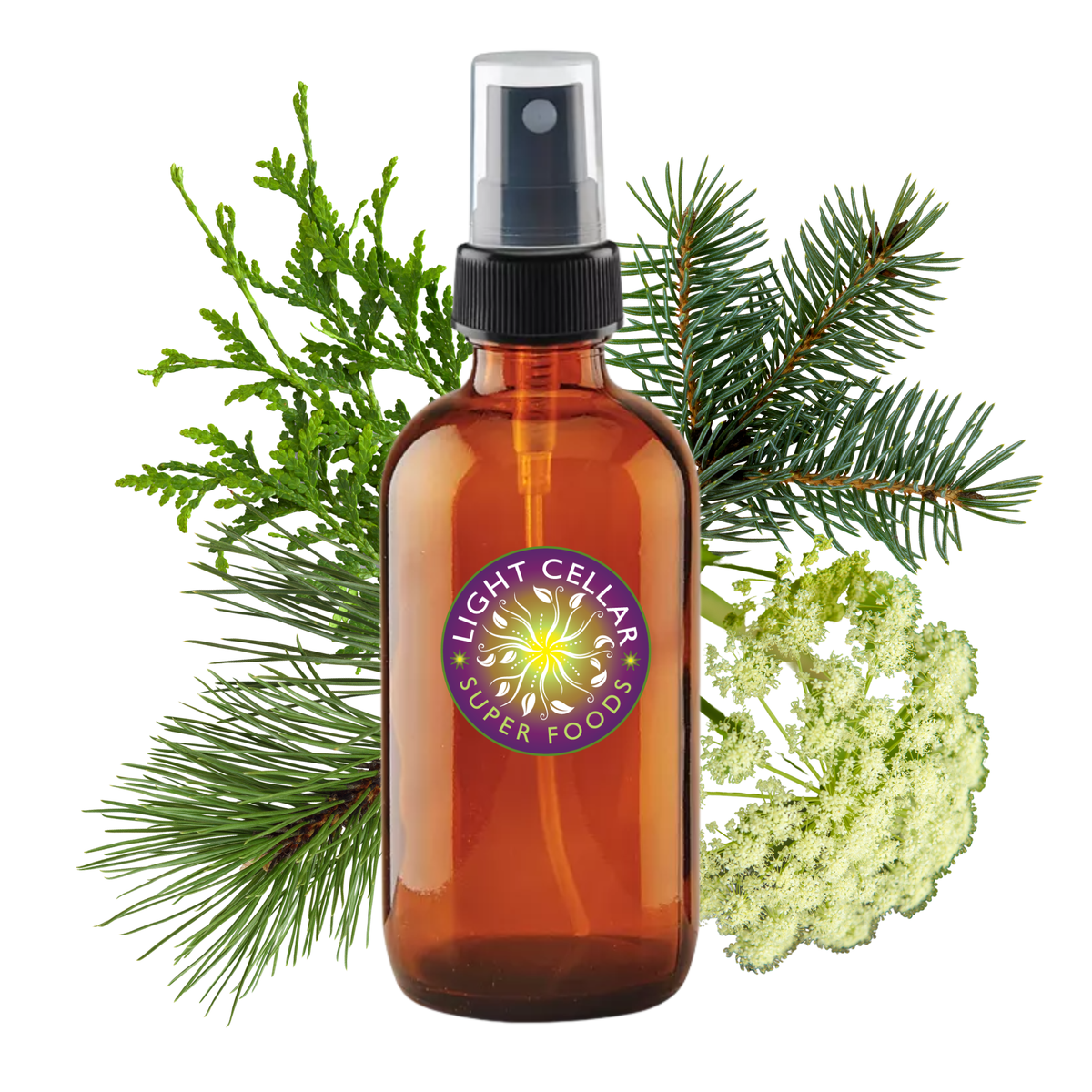 Forest Essence Hydrosol