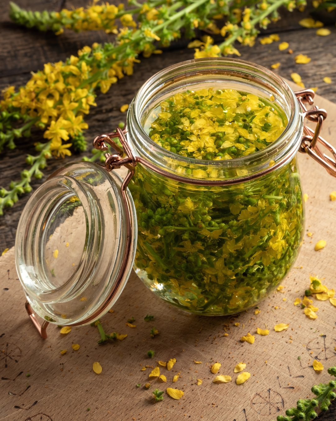 The Complete Herbal Medicine Making Workshop - July 18