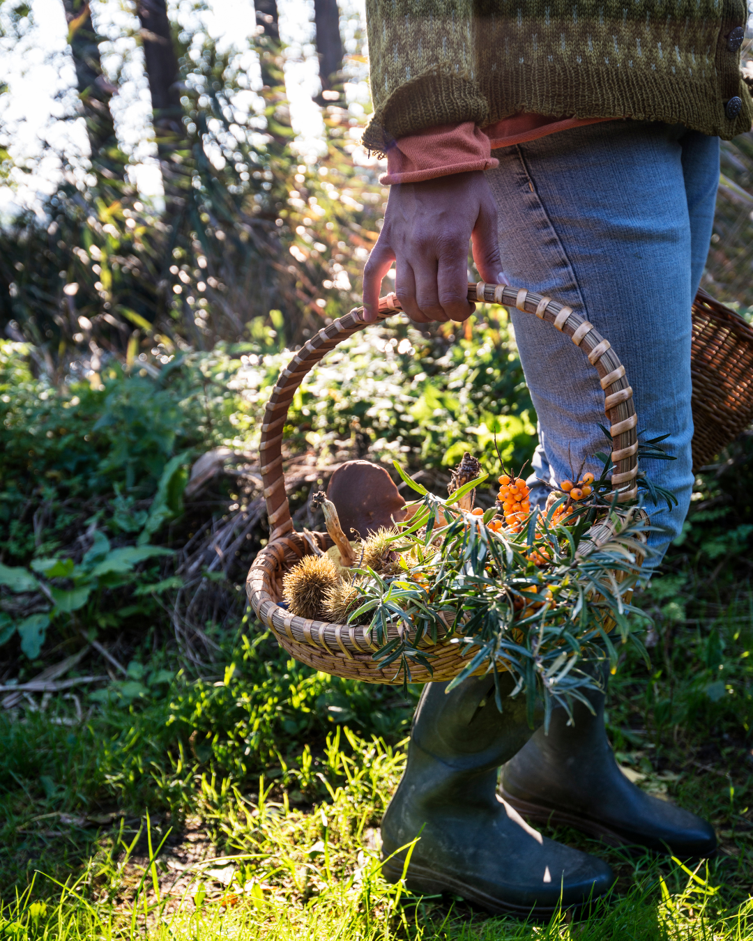 Intro to Wild Foraging - June 17 or July 8