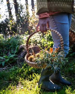 Intro to Wild Foraging - June 17 or July 8