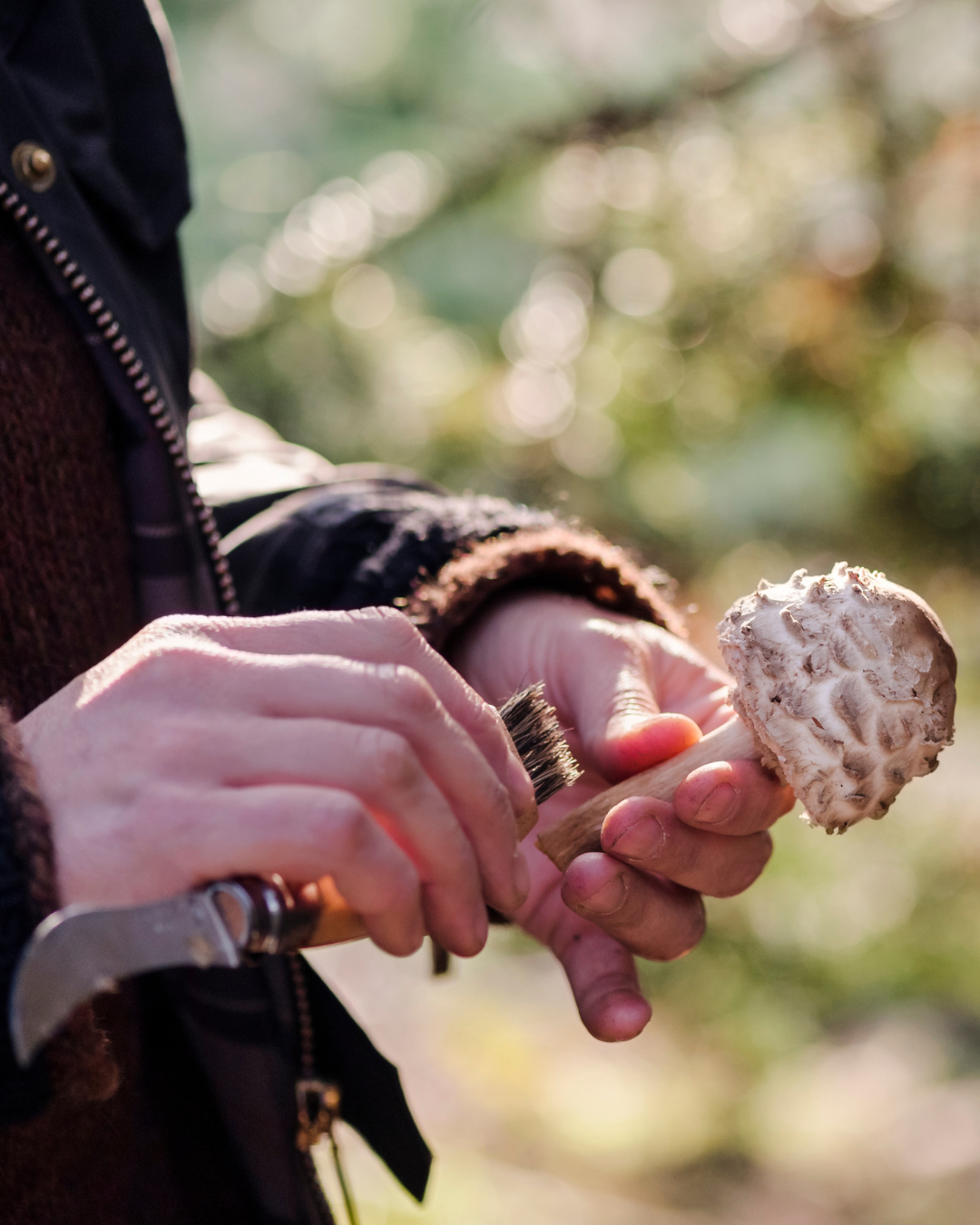 Intro to Wild Foraging - June 17 or July 8