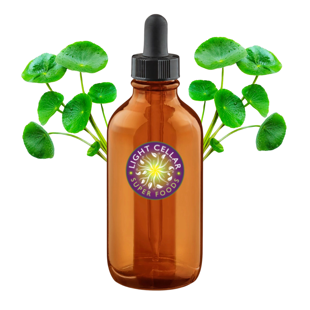 Gotu Kola Tincture