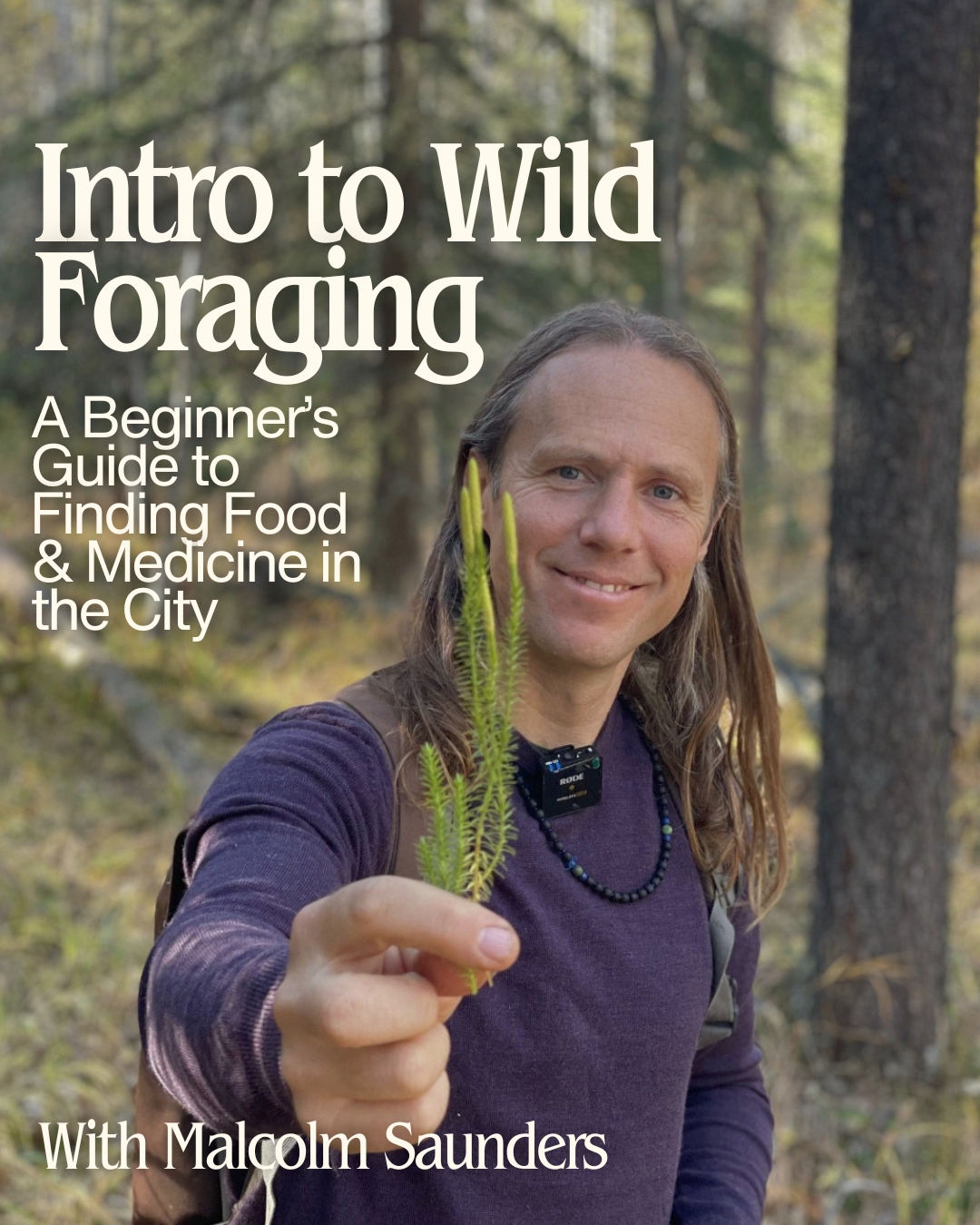 Intro to Wild Foraging - June 17 or July 8