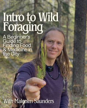 Intro to Wild Foraging - June 17 or July 8