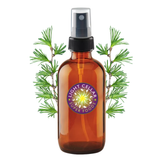 Larch Hydrosol