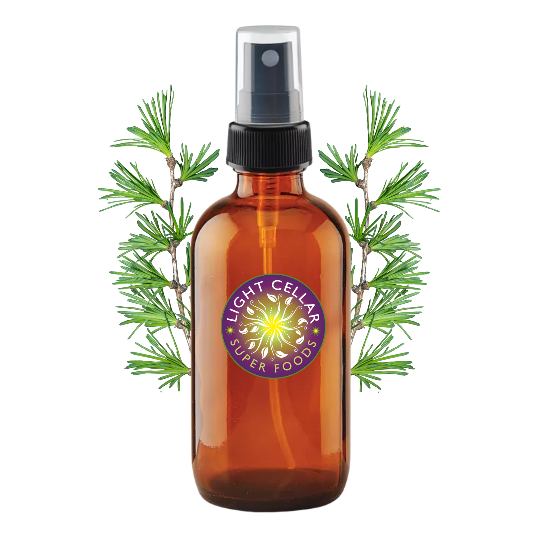 Larch Hydrosol