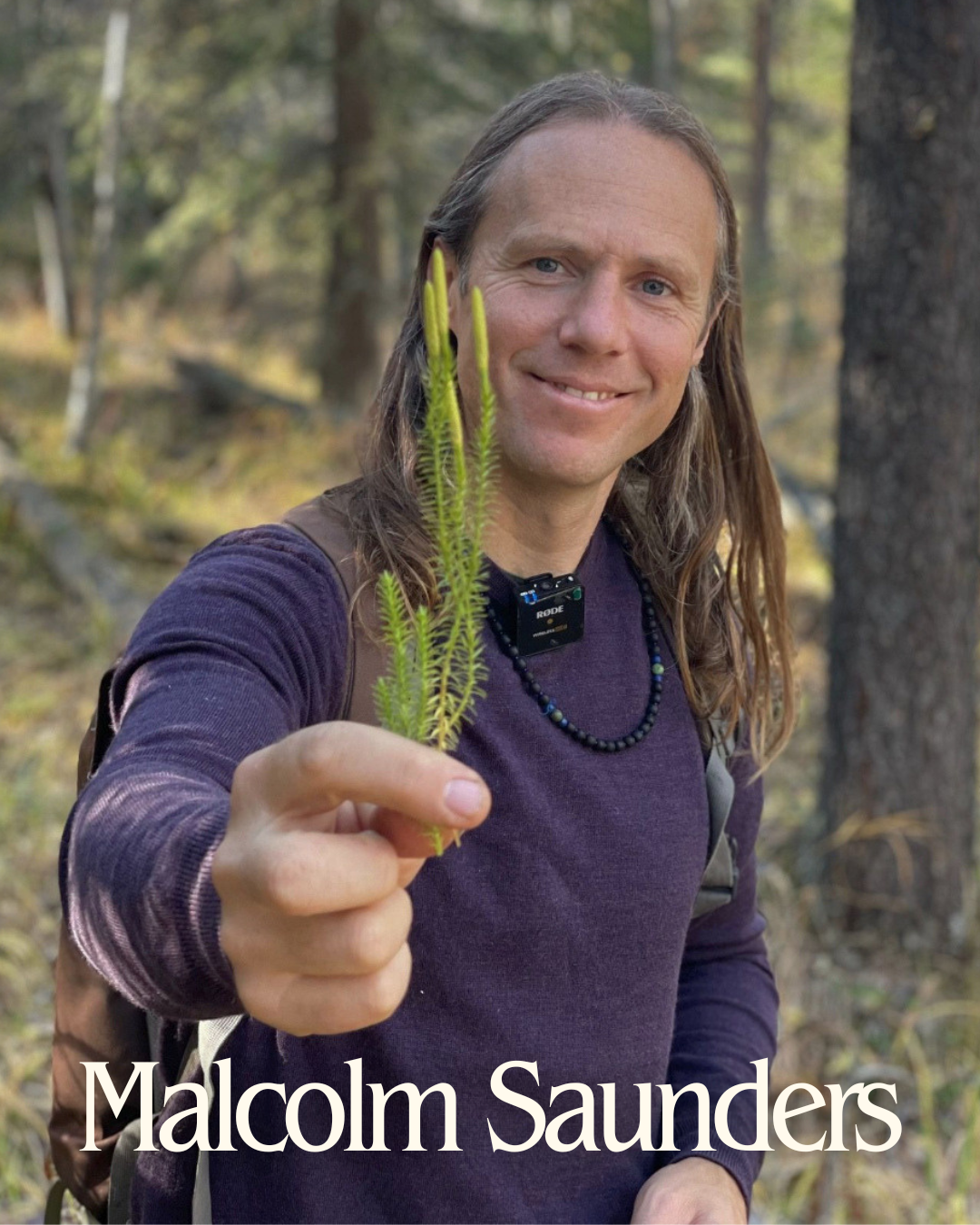 Wild Foods & Medicinal Plant Walk - June 27 or July 5