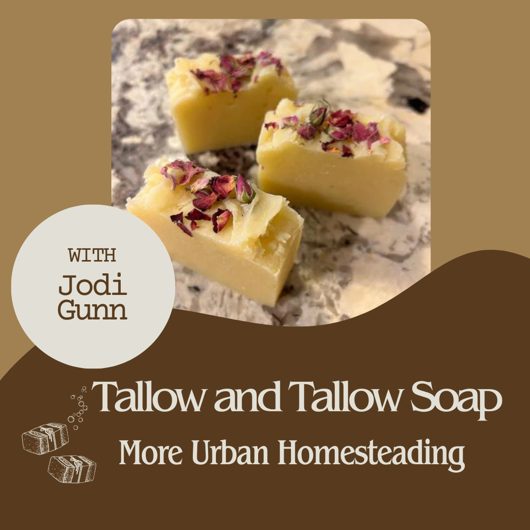 Tallow and Tallow Soap: More Urban Homesteading - Autumn 2024