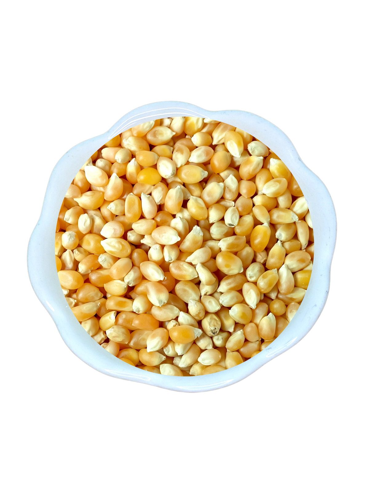 Ontario Grown Popcorn