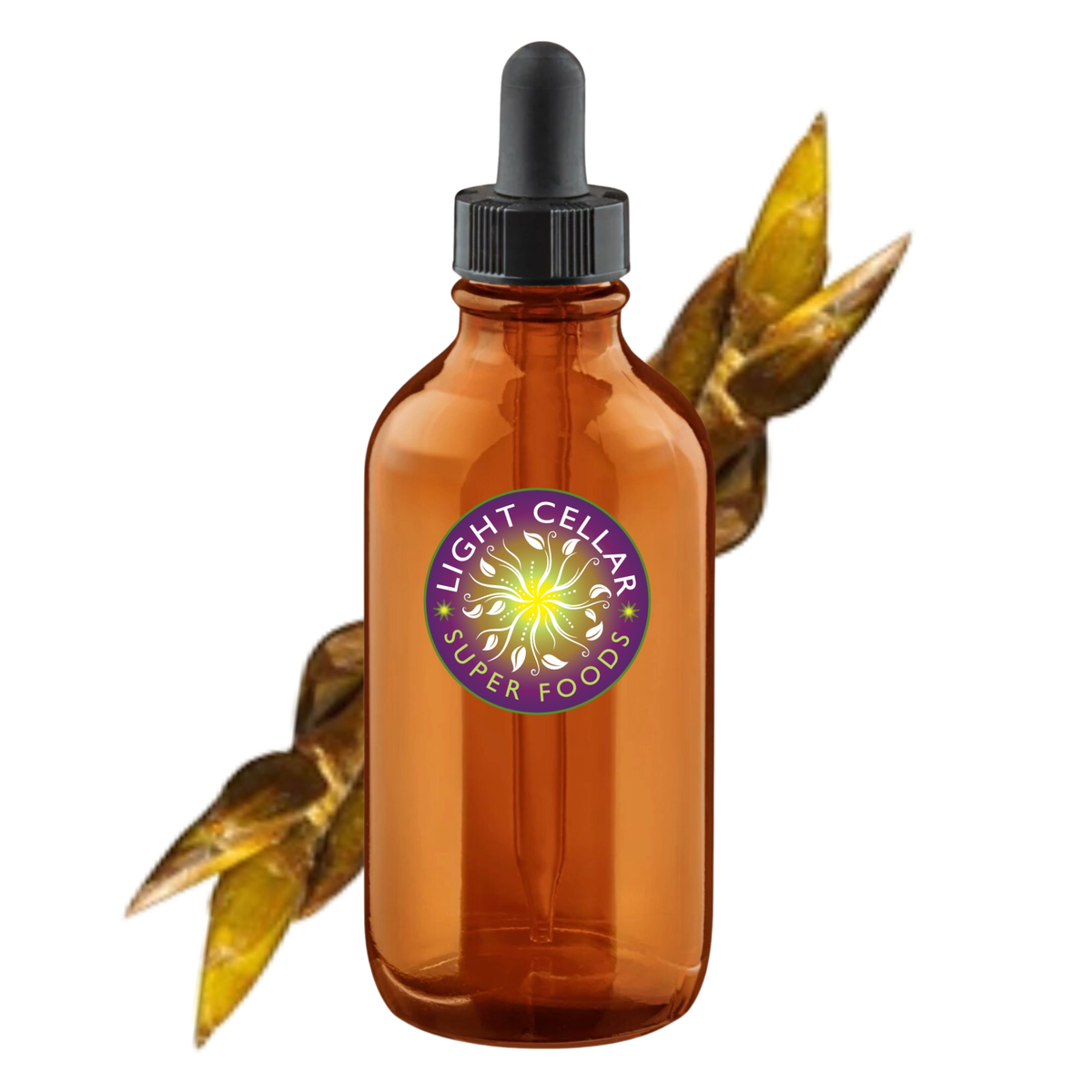 Poplar Bud Syrup